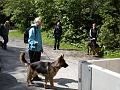AUS31052009 (15)
